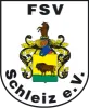 SG FSV/VfR