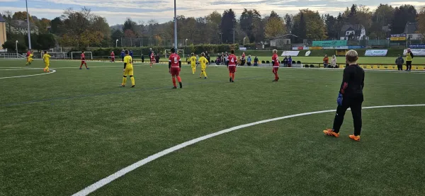 20.10.2024 FSV Schleiz II vs. SV BW Neustadt III